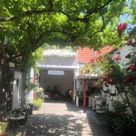 Ferienwohnung Im 'Schmoller - Hof' Neustadt an der Weinstraße Exterior foto