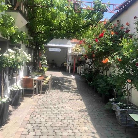 Ferienwohnung Im 'Schmoller - Hof' Neustadt an der Weinstraße Exterior foto